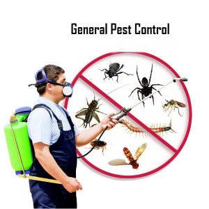 Pest Control