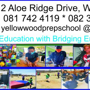 YELLOWWOOD ENVIROMENTAL